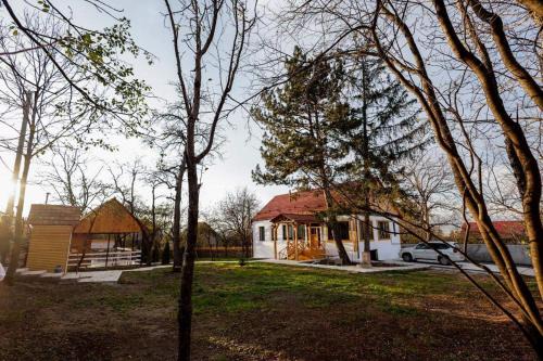 Dsegh House | Edits Home