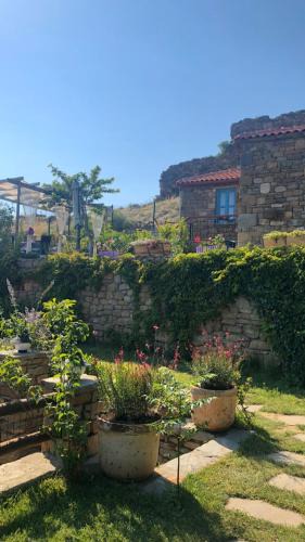 Gokceada Hotel | EFLİN BUTİK OTEL