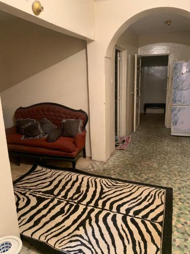 Mansoura Apartment | Egypt- شقة سكن - المنصورة