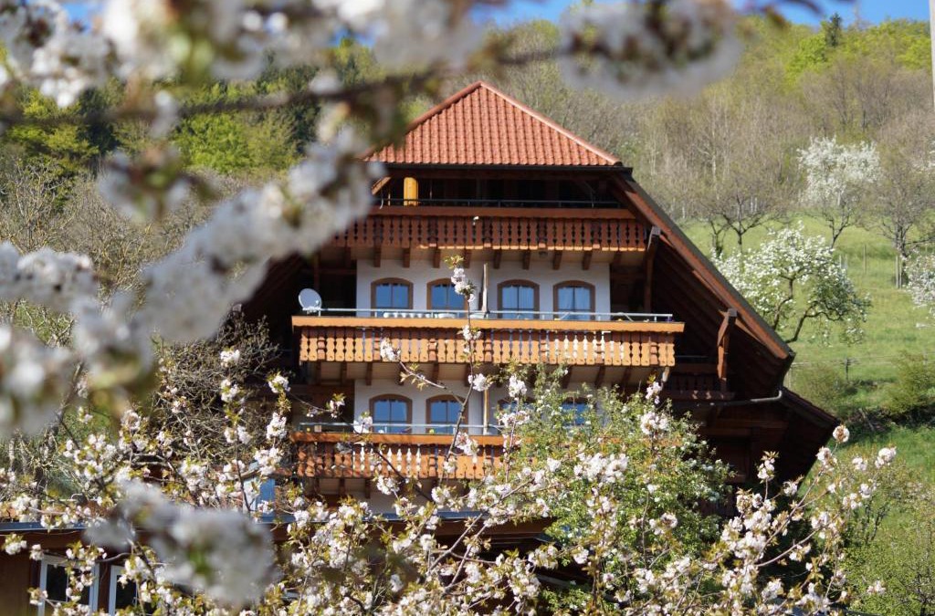 Bad Peterstal-Griesbach Apartment | Ehrenmättlehof Faißt