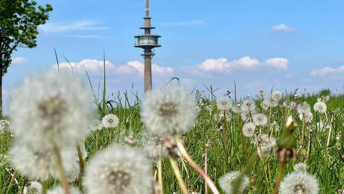 Huertgenwald Condo | Eifelauszeit - Auszeit ist Eifelzeit/bis zu 8 Personen + Kind + Vierbeiner