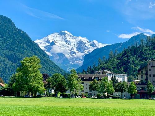 Grindelwald Apartment | Eiger, Jungfrau, luxury garden apartment