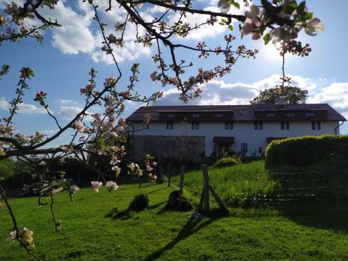 Borohradek House | Ekofarma Bílý mrak