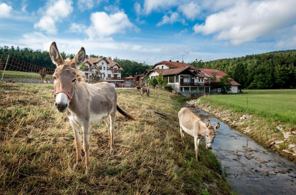 Predjama House | EkoTurizem Hudičevec