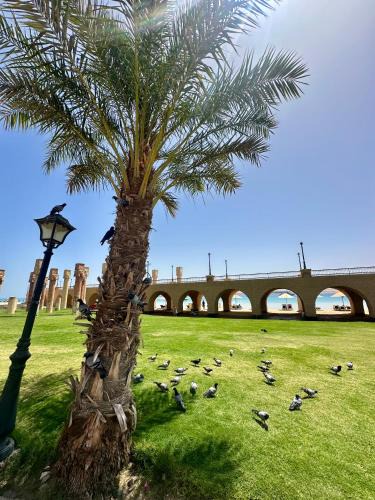 Sahl Hasheeh Apartment | El Andalous Sea View Apartment Sahl Hasheesh