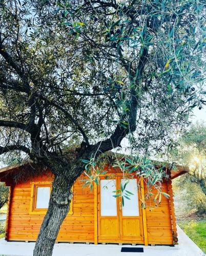 Escalona Resort | El Bosque de Ribera