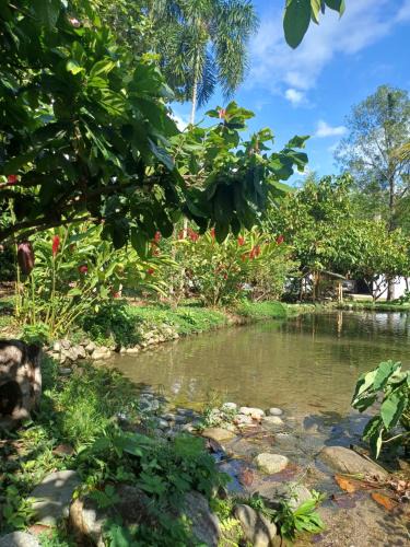 San Ramon House | El Cacaotal Finca Faura #5 3H