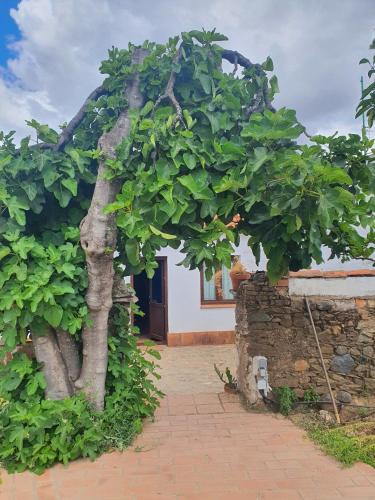 Campofrio House | El Corral de la Higuera