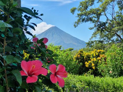Santa Cruz Hotel | El Encanto Garden Hotel