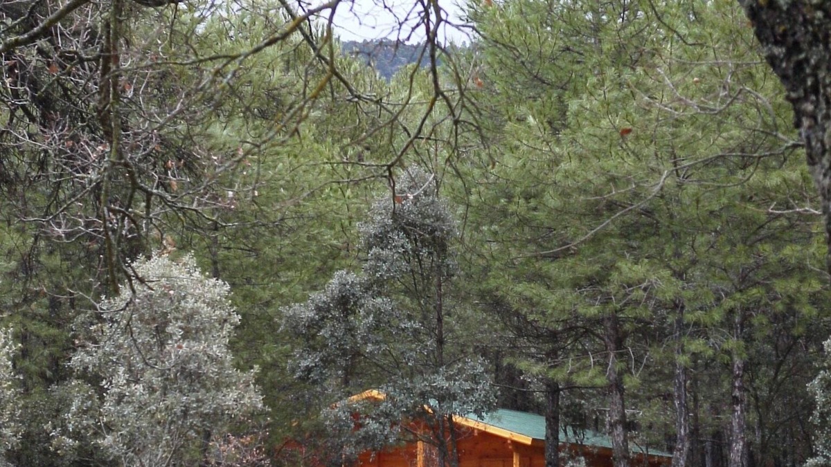 Canamares Cabin | El Llano de los Conejos Cabins - Cabin 10