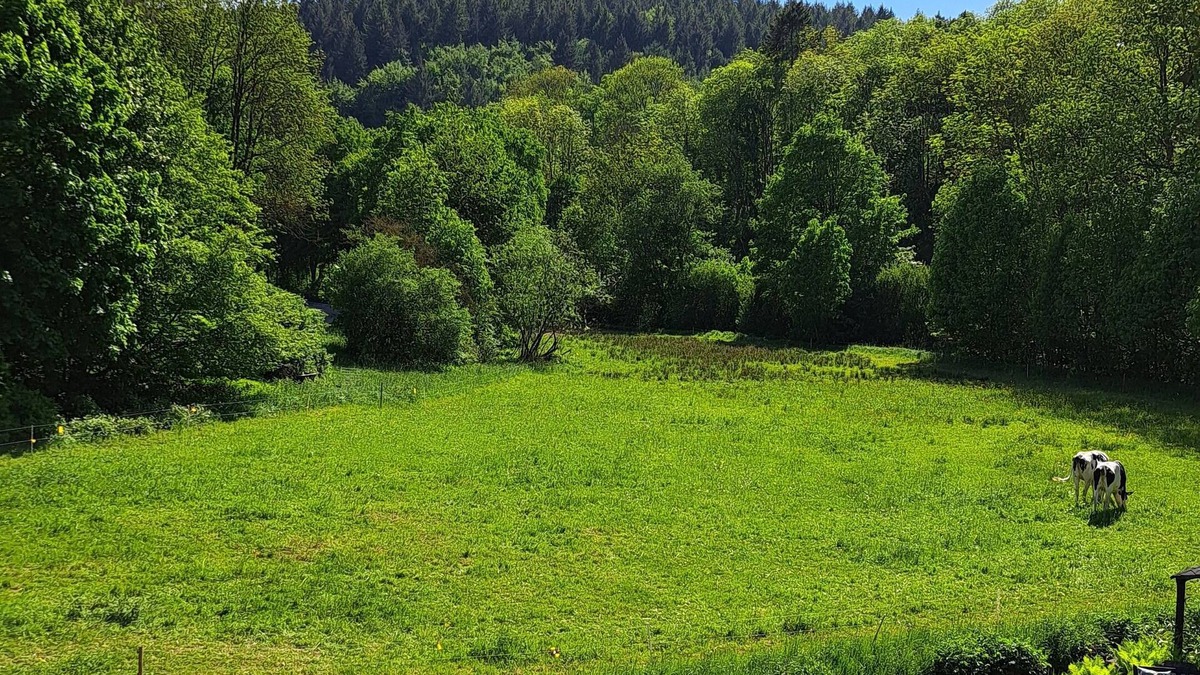 Kempenich Apartment | EL MIRADOR - Holiday apartment near Nürburgring - Eifel - Laacher See - Ahr