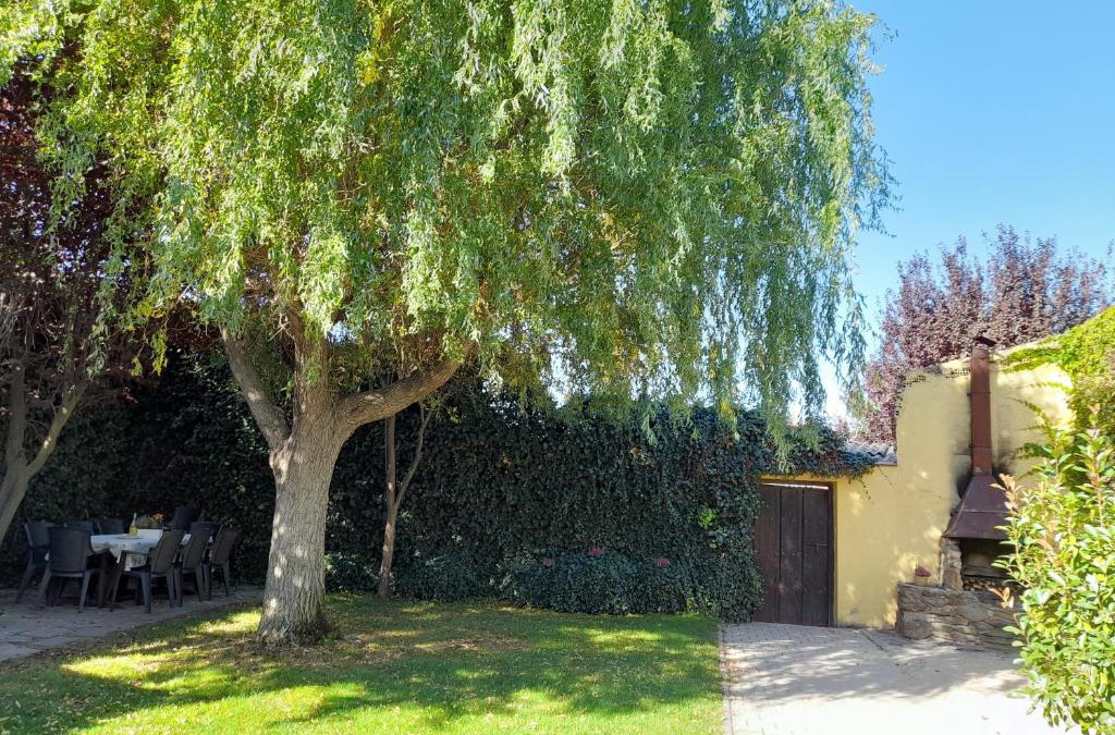 Nieva House | El Molino