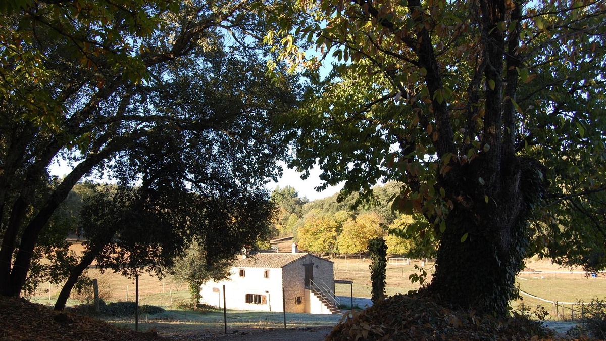 Fuenteheridos Cottage | "El Zurrador" farm, agricultural, livestock and forestry farm with Rural Accommodation.