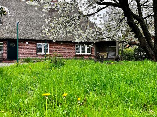 Drage House | Elbkoje
