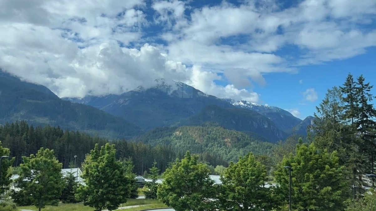 West Vancouver House | Elegant 2 bedroom Guest Suite in Prime Ambleside near Beach, Mall, Downtown