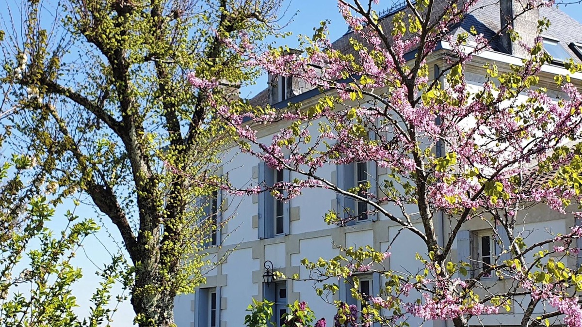 Epargnes House | Elegant 4-bedroom Manor house in enchanting Épargnes, Charente Maritime.