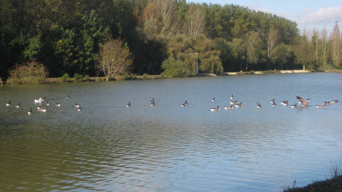 Les Marets House | Elegant cottage in a 8 ha park with lake, toys/swing set/ping pong .Paris 80km