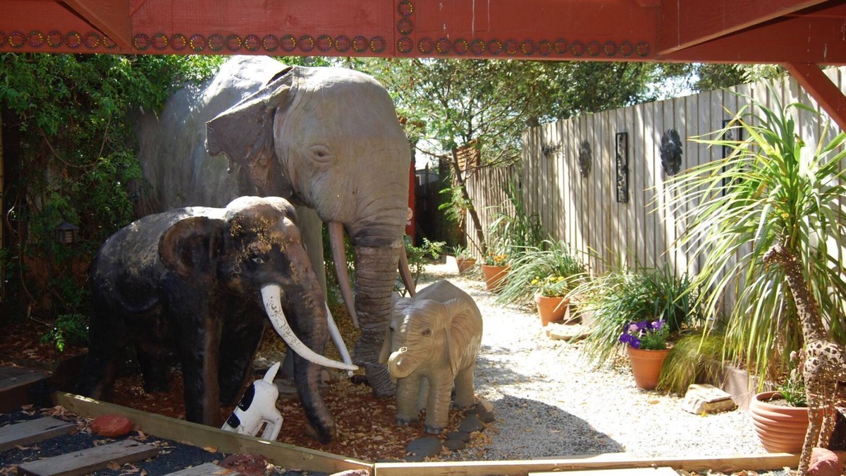 Sunset Strip House | Elephants at Sunset, A unique holiday experience