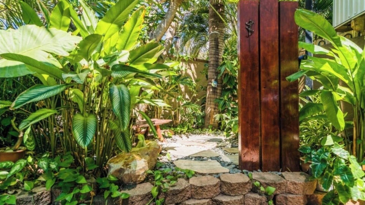 Alawa House | Elevated Tropical House