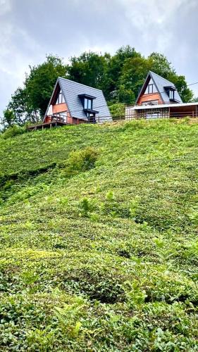 Ardesen Ski Chalet | Elit Bungalov