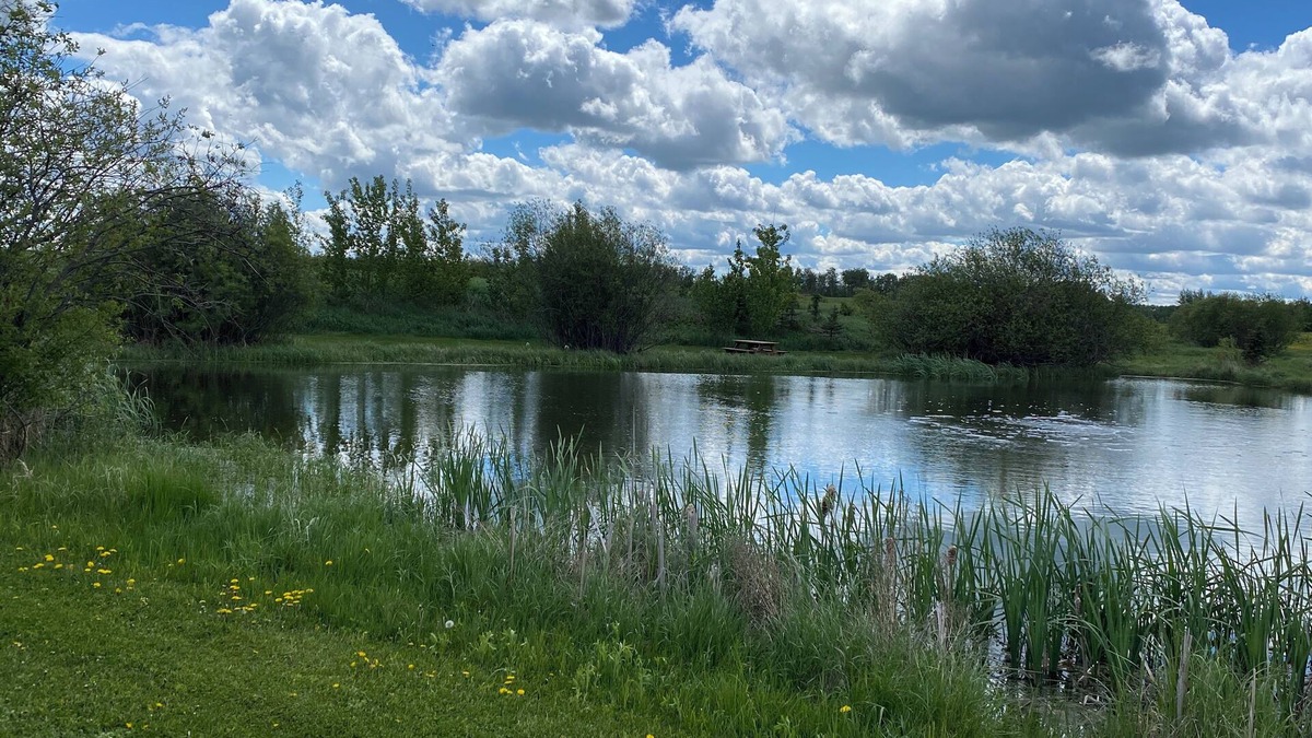 Strathcona County Cabin | Elk Island Getaway! Rustic Cabin. Where peace and nature awaits you!n