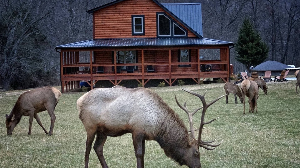 Maggie Valley Cabin | Elk Meadow Lodge ~ New Cabin by Willow Tree Cabins