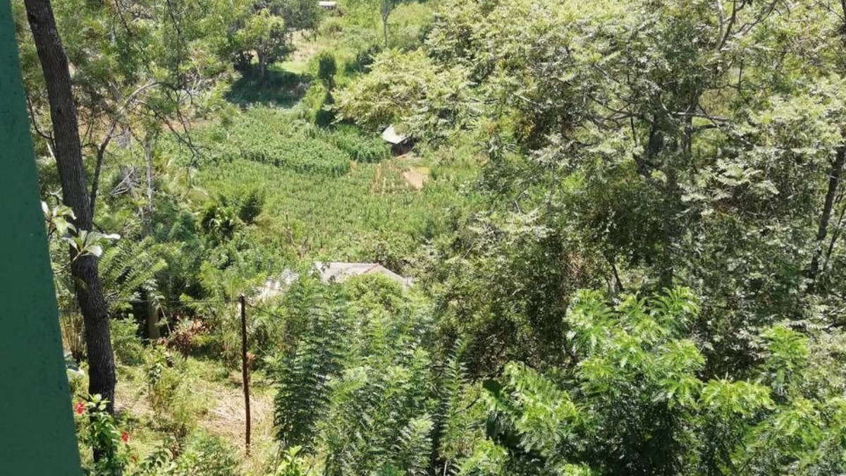 Kumbalwela House | Ella Viyanga Homestay