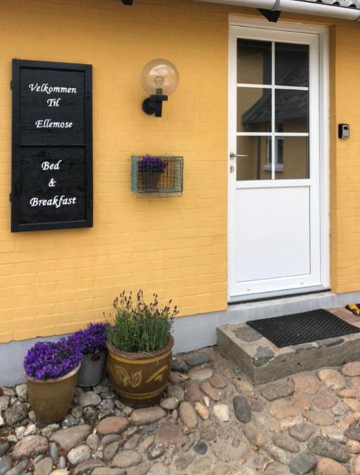 Lemvig Bed & Breakfast | Ellemose Bed and Breakfast