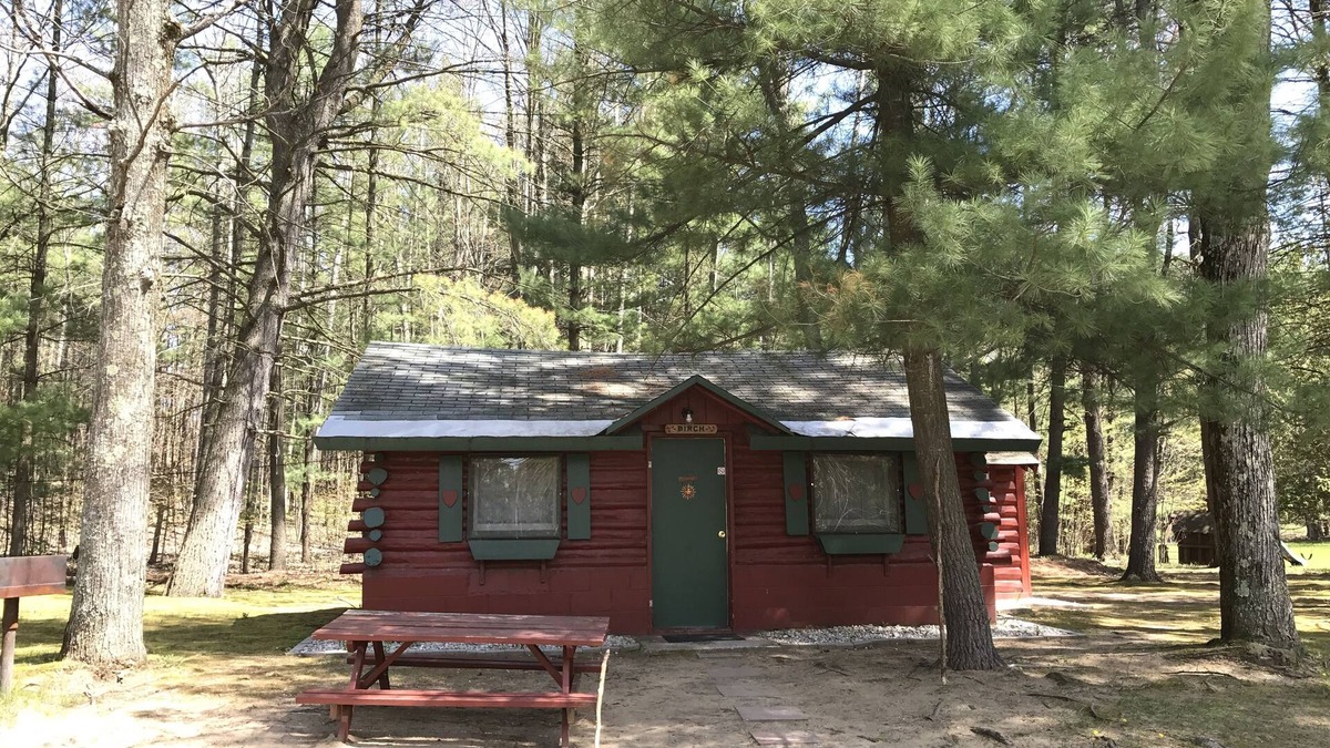Grawn Cabin | Ellis Lake Resort - Birch Log Cabin-Interlochen/Traverse City