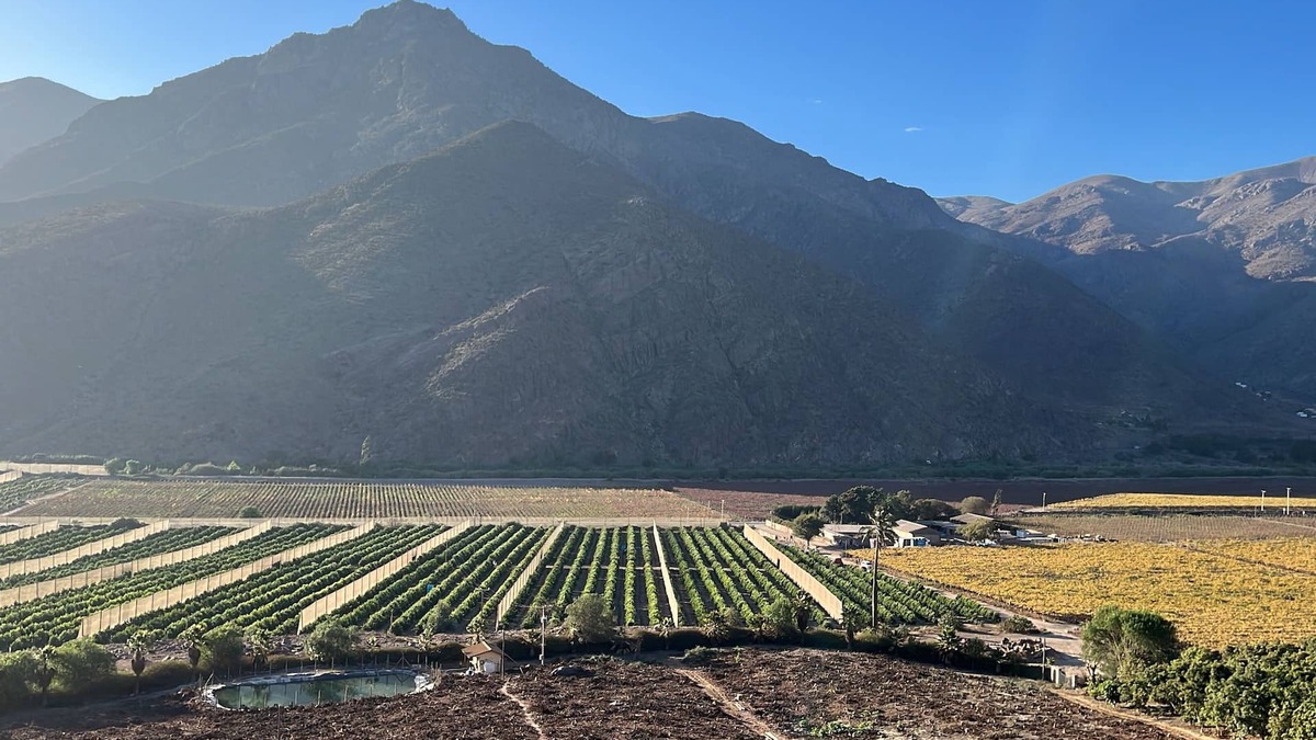El Molle Cabin | Elqui Valley Avocado Farm, 2-bedroom cabin in fabulous Vicuña with WiFi