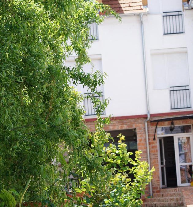 Sarvar Apartment | Emanapartmanok Sárvár