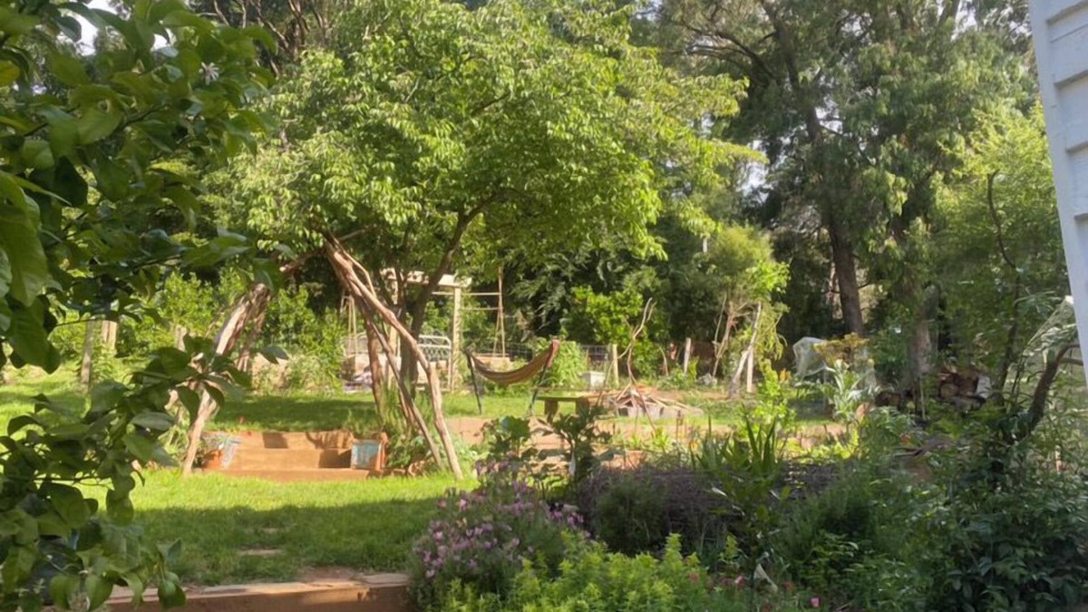 Emerald House | Emerald Forest Retreat - sunset views and private garden