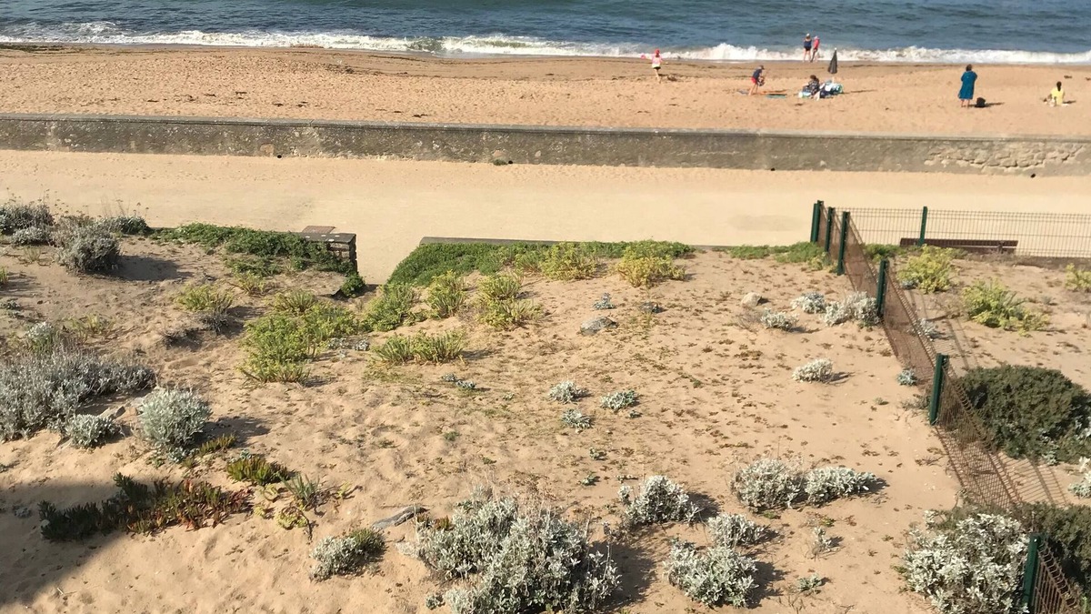 Batz-sur-Mer Apartment | En Bord de Mer, vue et Accès Direct à la Plage
