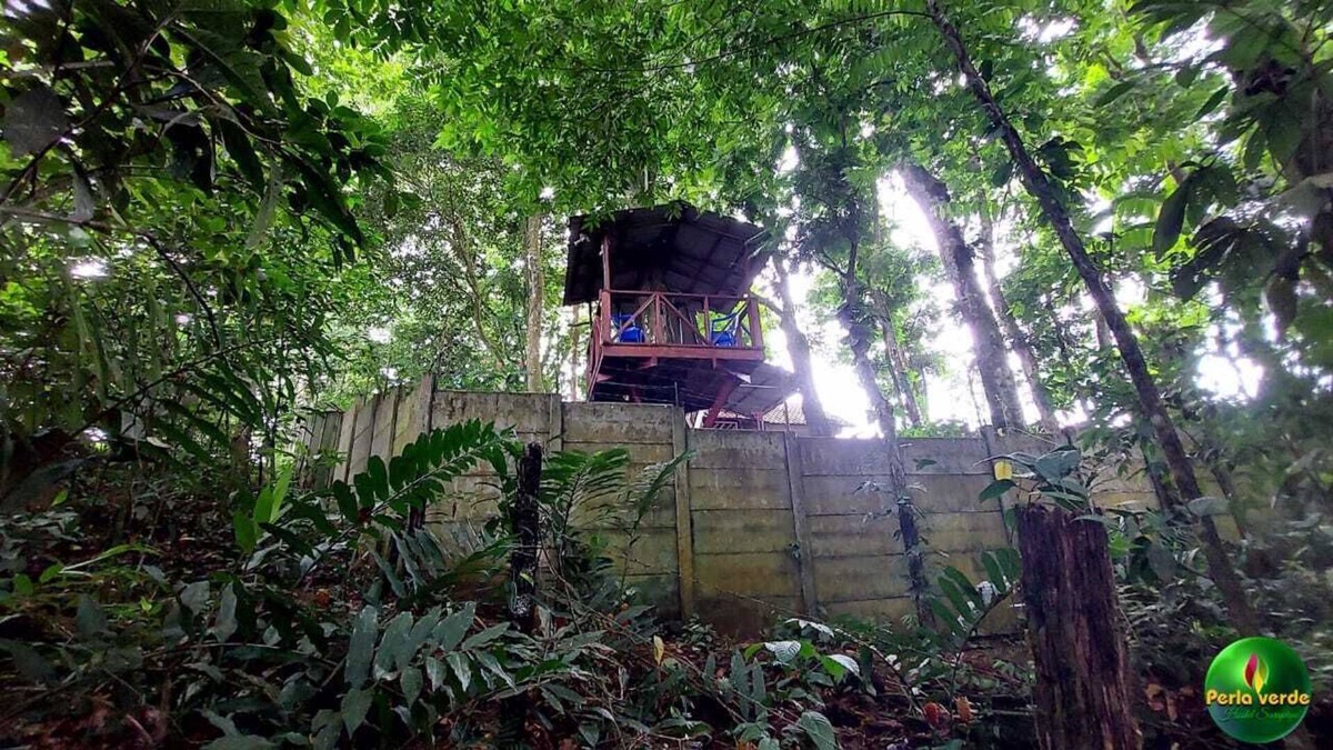 Heredia House | En Hostel Perla Verde, Sarapiquí te Sentirás Como en Casa en Medio del Bosque