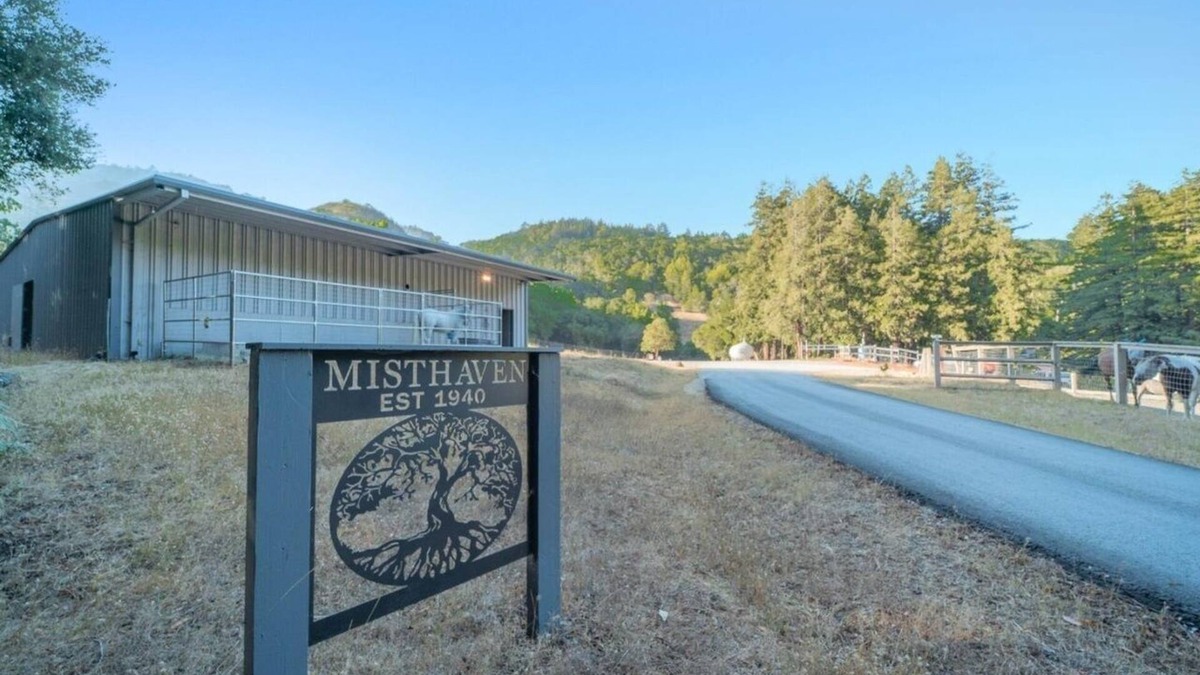 Gilroy House | Enchanted Redwood Retreat Nature Suite