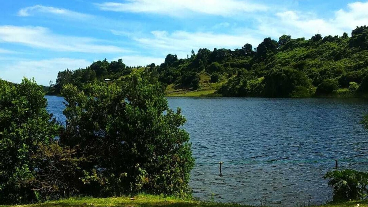 Canete Cabin | ENCHANTED RUSTIC CABIN, BETWEEN FOREST WITH AMAZING VIEWS OF THE LAKE