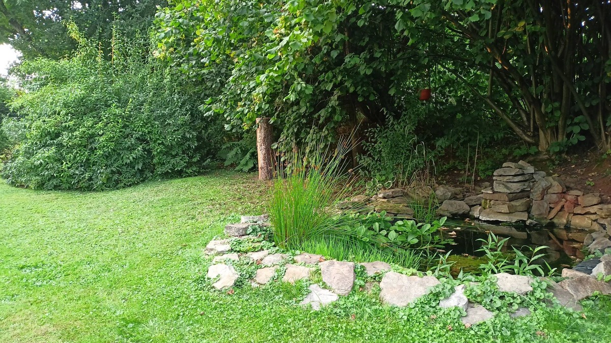 Trutnov House | Enchanting 3-bedroom house in Královéhradecký kraj