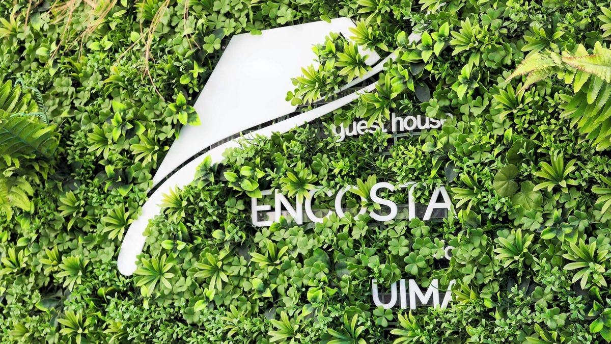 Caldas de Sao Jorge House | Encosta do Uíma Guest House