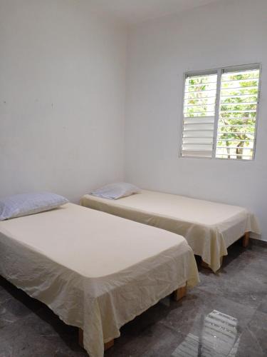 El Centro House | Encuentra tu Alma