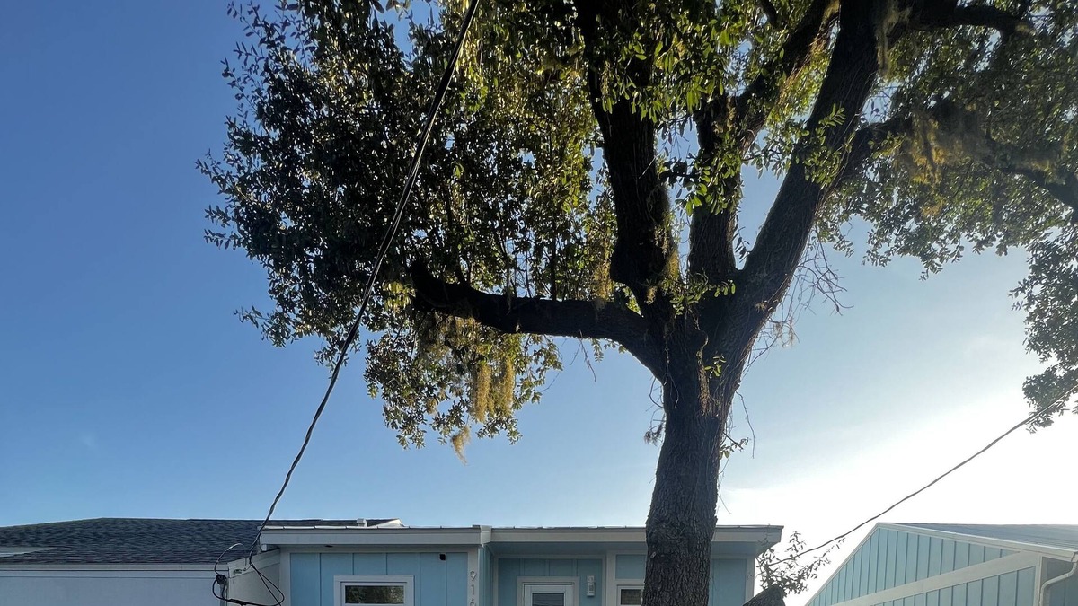 Parker House | Endless Summer Days on St. Andrews Bay. Between Tyndall Air Force & Naval Base