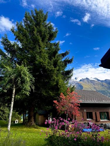 Engelberg Ski Chalet | Engelberg, Renovated Chalet in Wonderful Location