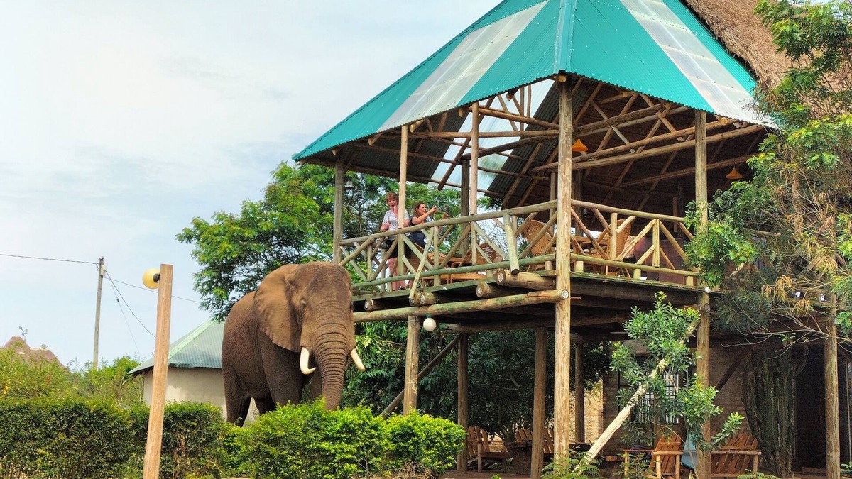 Kasese Cabin | Engiri Game Lodge & Campsite in Queen Elizabeth National Park, Uganda