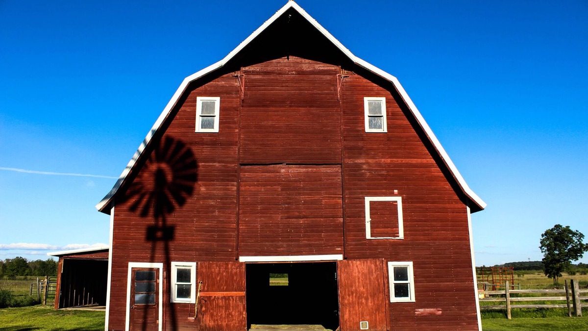 Little Falls Other | Enjoy an Old Fashion Farm Experience, Animals Included! We. Farm. Naturally.