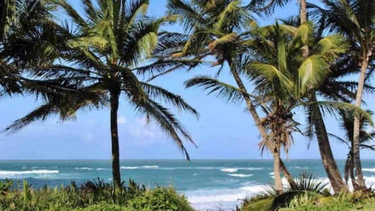 Hato Abajo Apartment | Enjoy beaches, water sports, nature & more!