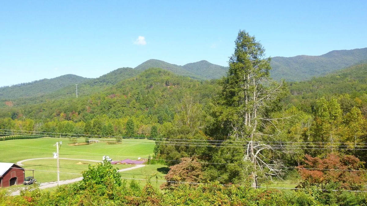 Hayesville House | Enjoy, Beautiful, up close & personal mountain views ,1 mile from Lake Chatuge