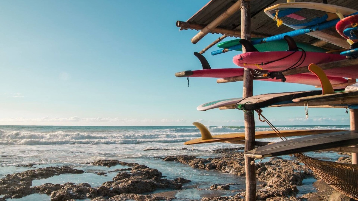 Nut Tree House | enjoy being minutes away from the University of California
