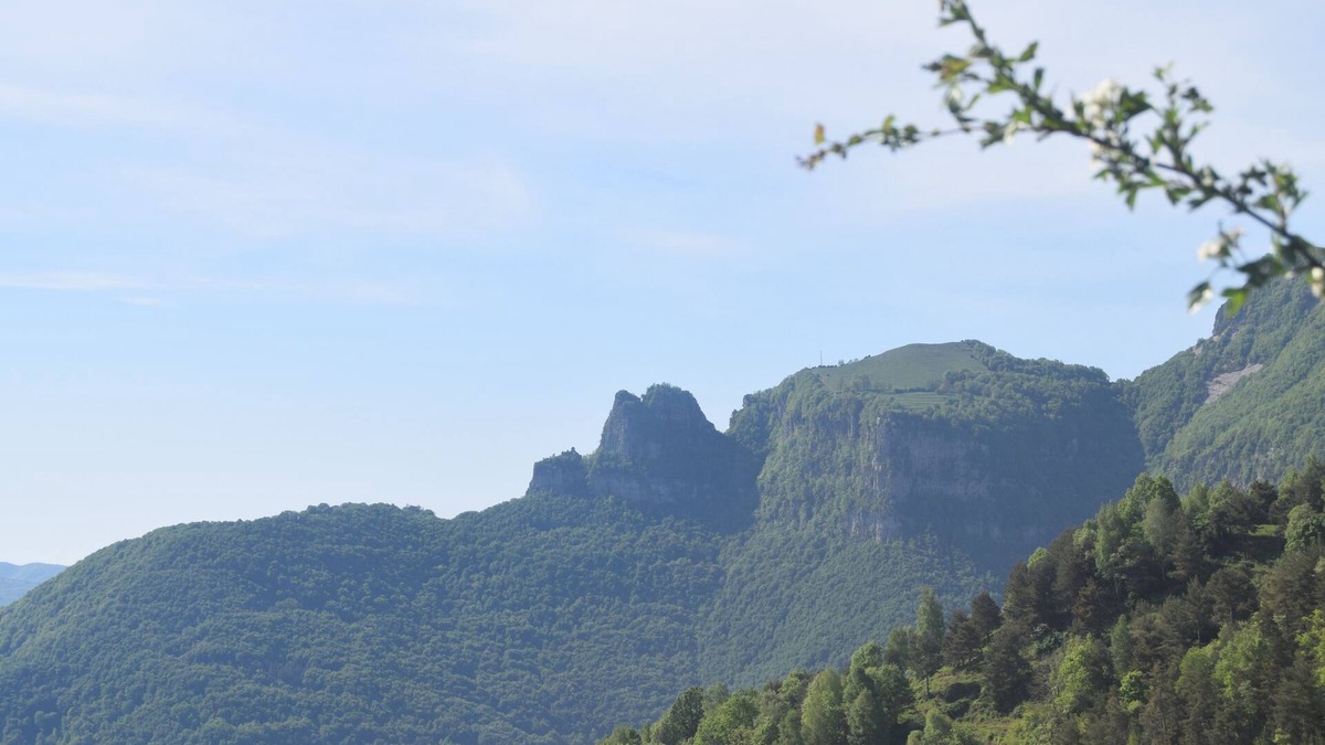 Vallfogona Cottage | Enjoy nature in its purest form