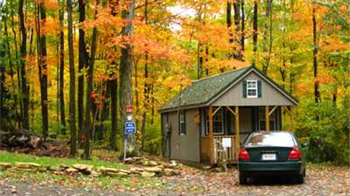 Elk Garden Cabin | Enjoy Nature At Its Finest-Rustic Furnished Cabin W/Electricity at Abrams Creek