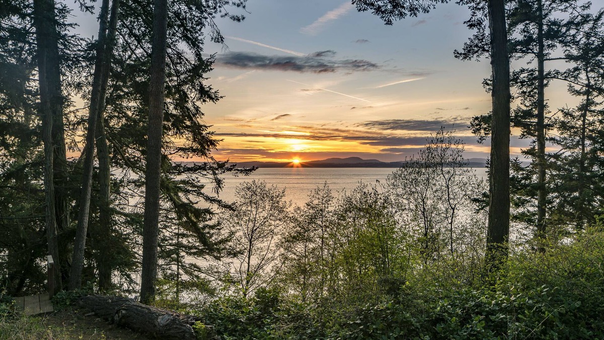 Lopez Island House | Enjoy Roseberry Cottage! Updated westside beach access with stunning views