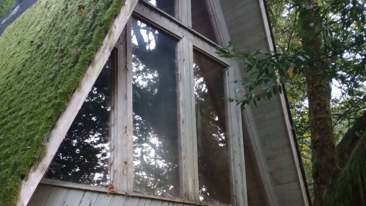 Brookings Apartment | Enjoy the Chetco River wilderness